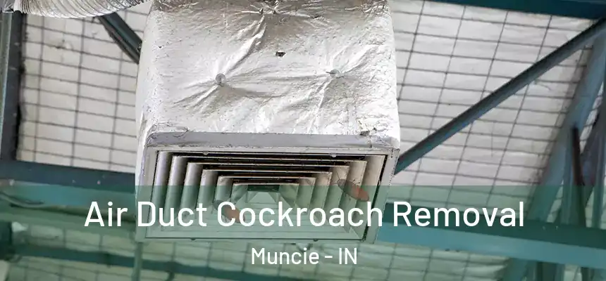  Air Duct Cockroach Removal Muncie - IN