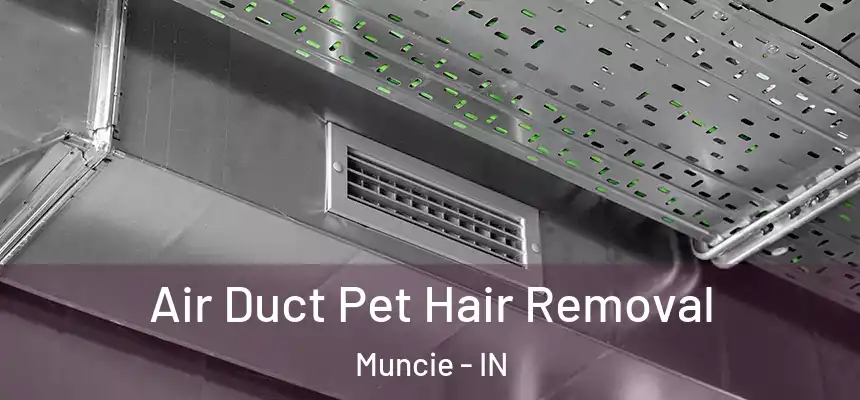  Air Duct Pet Hair Removal Muncie - IN