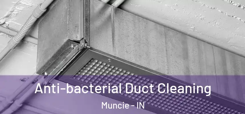  Anti-bacterial Duct Cleaning Muncie - IN