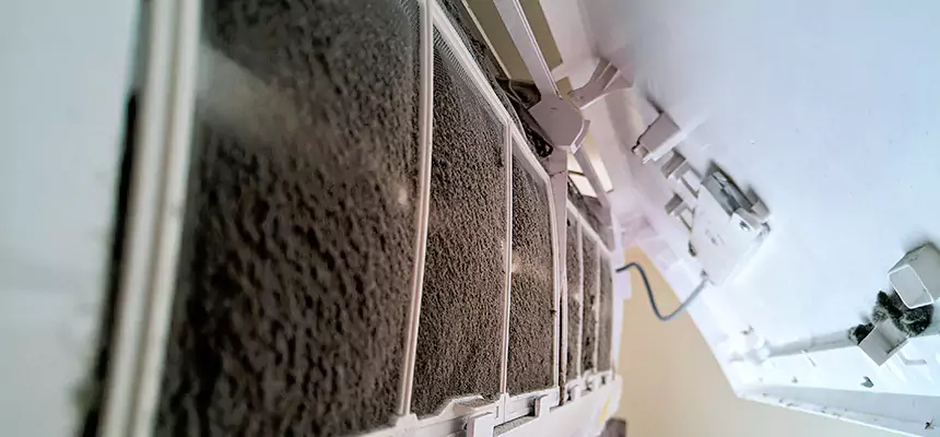 Preventive Air Duct Bacteria Removal in Muncie