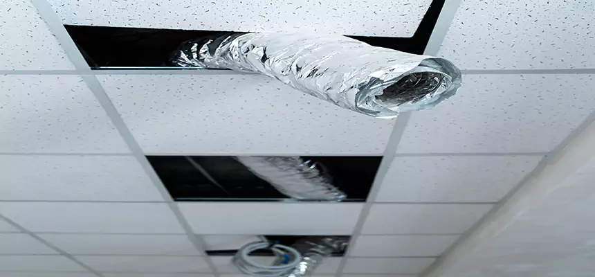 Affordable HVAC Sanitizing After Pest Removal in Muncie