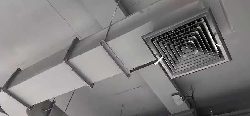 Restorative Allergy Relief Vent Cleaning – Coil, Blower & Housing Detail in Muncie