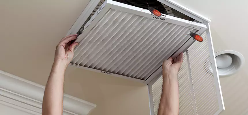 Our Insect Removal from Air Ducts Services in Muncie, IN