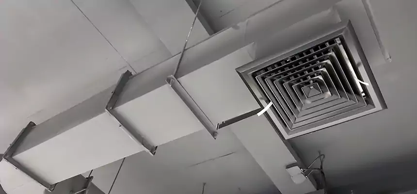 Our Pest Removal From Ducts Services in Muncie, IN