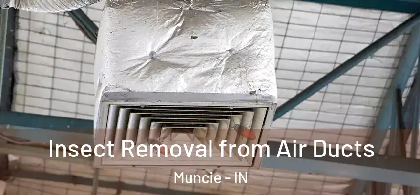  Insect Removal from Air Ducts Muncie - IN