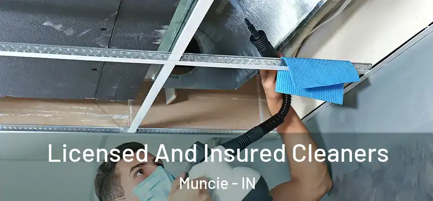 Licensed And Insured Cleaners Muncie - IN