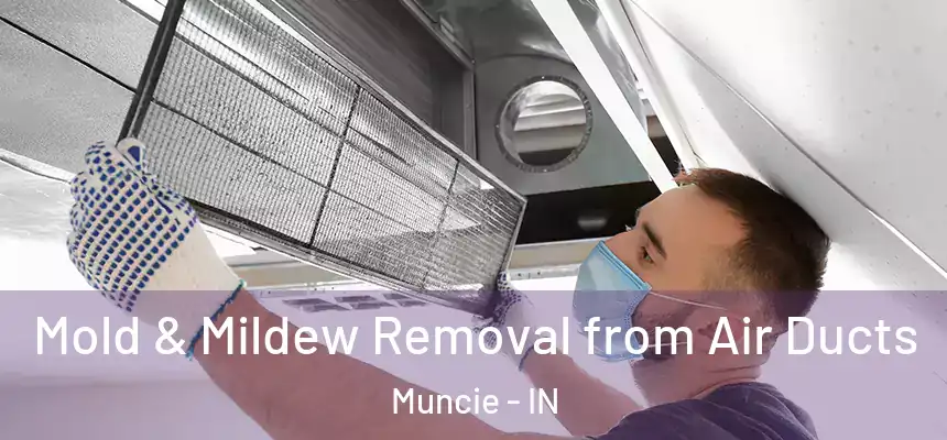  Mold & Mildew Removal from Air Ducts Muncie - IN