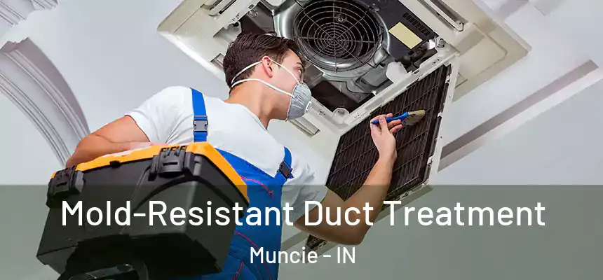  Mold-Resistant Duct Treatment Muncie - IN