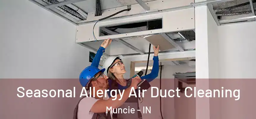  Seasonal Allergy Air Duct Cleaning Muncie - IN