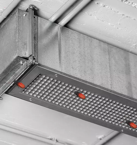 About Air Duct Cockroach Removal in Muncie, IN