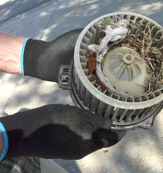 About Air Duct Mice Removal in Muncie, IN