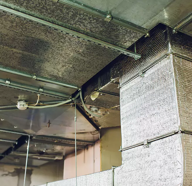 Why Homeowners & Businesses Trust Us in Muncie, IN?